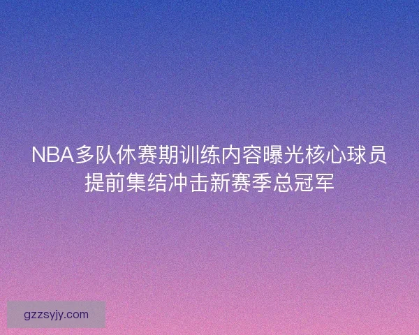 NBA多队休赛期训练内容曝光核心球员提前集结冲击新赛季总冠军
